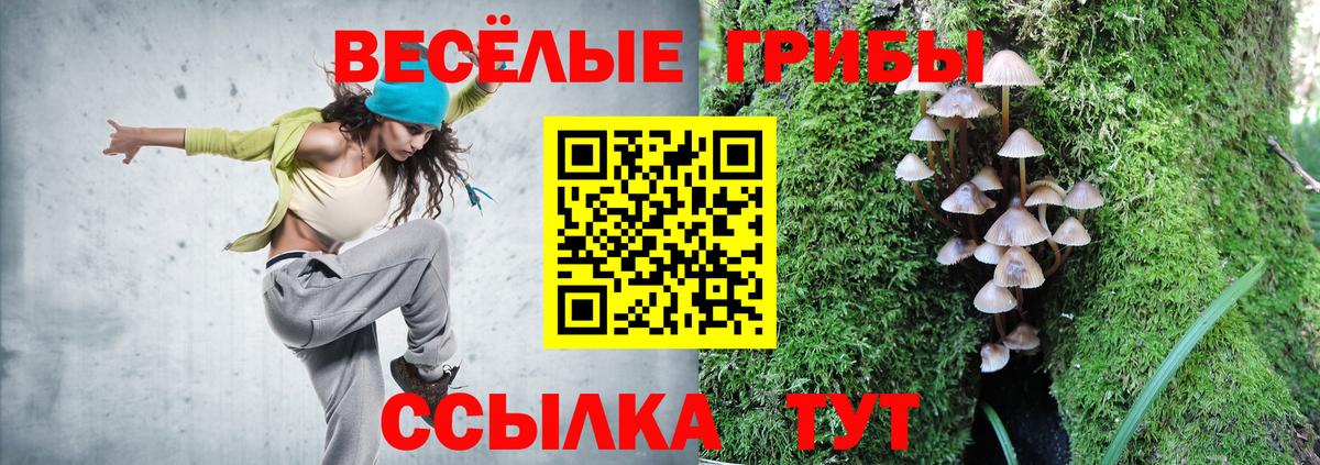 Галлюциногенные грибы прущие грибы Подольск