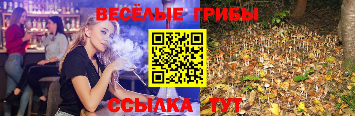 Подольск  Псилоцибиновые грибы мицелий  Вход с VPN 